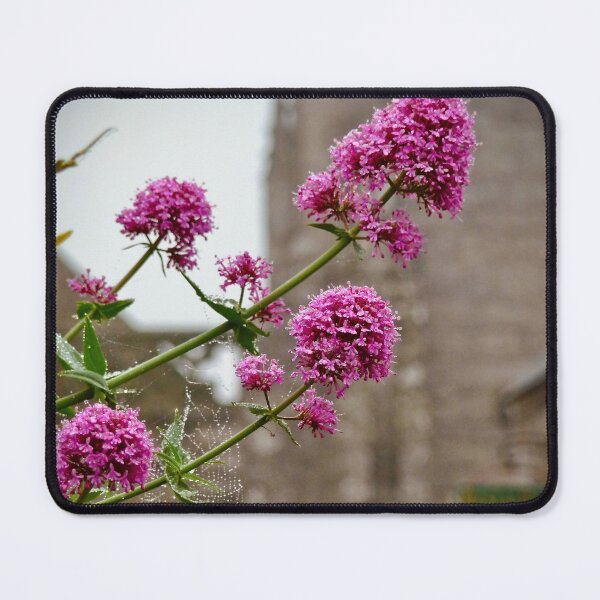 Item preview, "Threaded with Dew" designed and sold by ANAEZ.