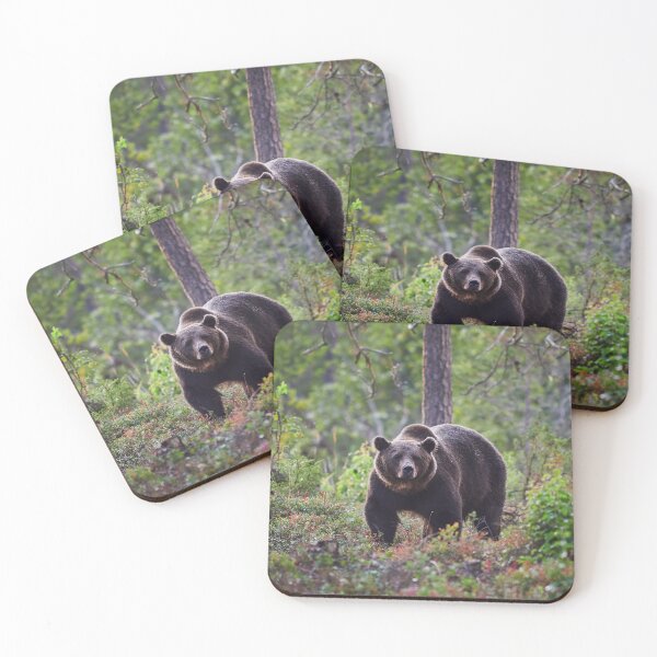 Item preview, The serious one. Brown bear 2025 designed and sold by Jouko Lehto Photography.