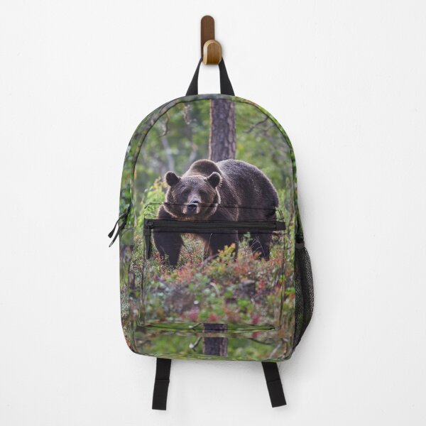 Item preview, The serious one. Brown bear 2025 designed and sold by Jouko Lehto Photography.