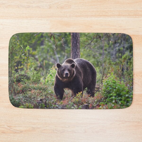Item preview, The serious one. Brown bear 2025 designed and sold by Jouko Lehto Photography.