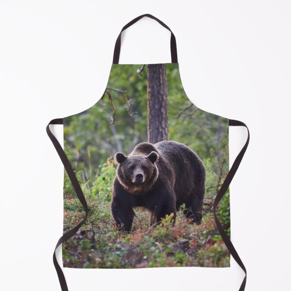Item preview, The serious one. Brown bear 2025 designed and sold by Jouko Lehto Photography.