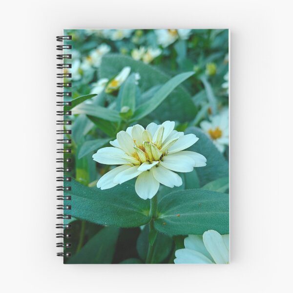 Item preview, Zinnia designed and sold by YvonneArrington.