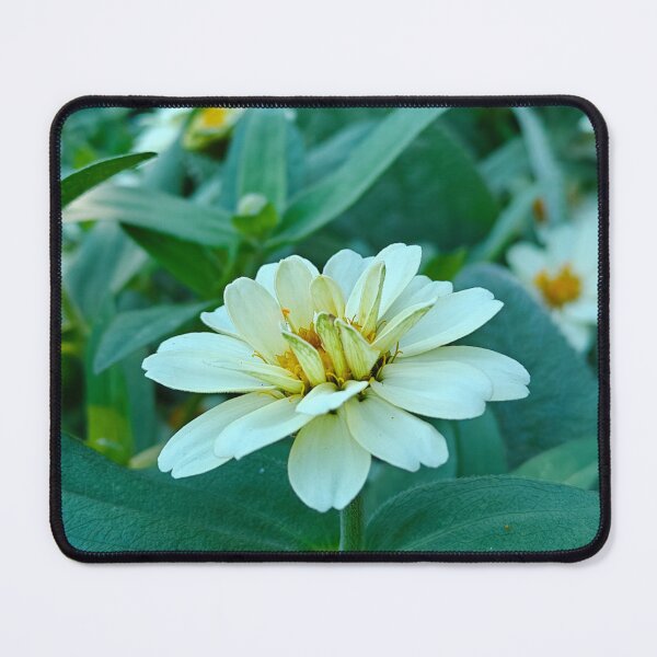 Item preview, Zinnia designed and sold by YvonneArrington.