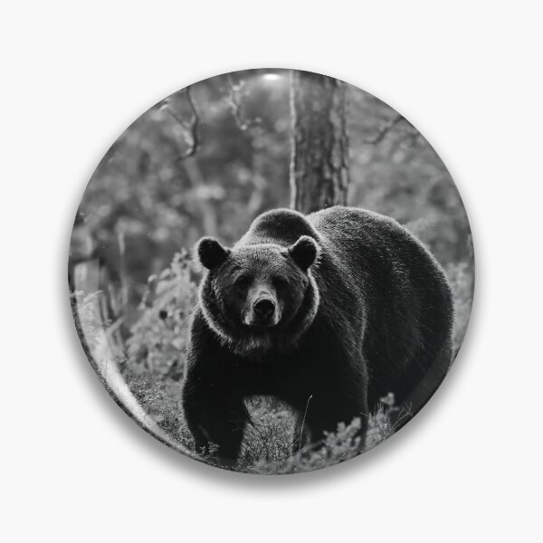 Item preview, The serious one. Brown bear 2025 bw designed and sold by Jouko Lehto Photography.