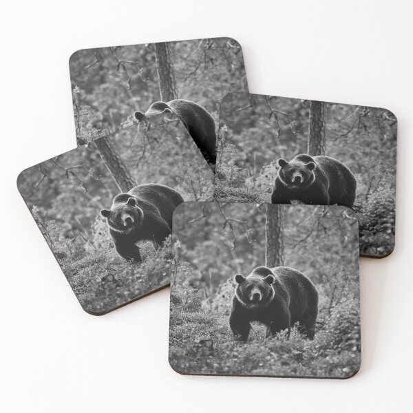 Item preview, The serious one. Brown bear 2025 bw designed and sold by Jouko Lehto Photography.