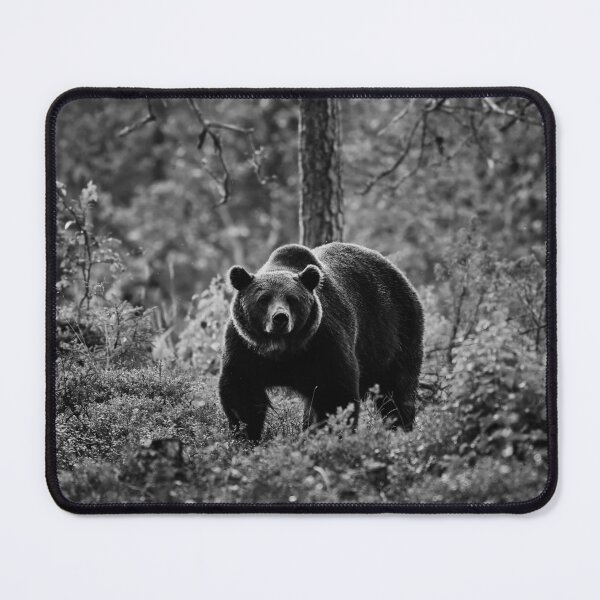 Item preview, The serious one. Brown bear 2025 bw designed and sold by Jouko Lehto Photography.