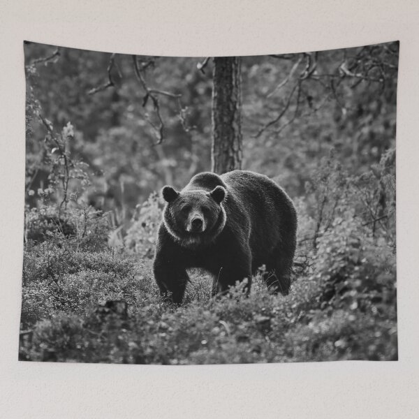 Item preview, The serious one. Brown bear 2025 bw designed and sold by Jouko Lehto Photography.