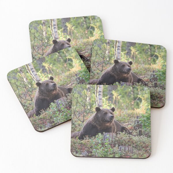 Item preview, Heads up. Brown bear 2025 designed and sold by Jouko Lehto Photography.