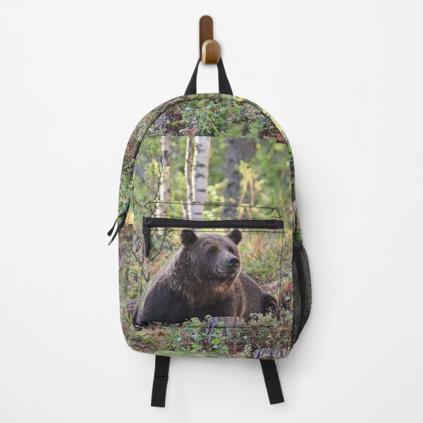 Item preview, Heads up. Brown bear 2025 designed and sold by Jouko Lehto Photography.
