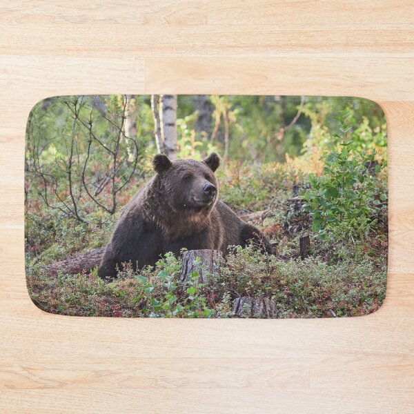 Item preview, Heads up. Brown bear 2025 designed and sold by Jouko Lehto Photography.