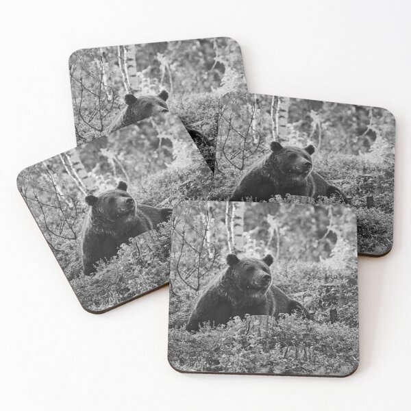 Item preview, Heads up. Brown bear 2025 bw designed and sold by Jouko Lehto Photography.