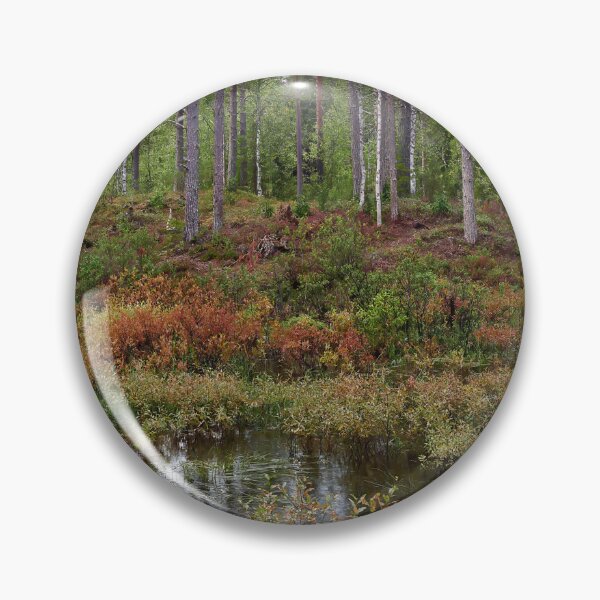Item preview, .Rain in the forest. Kuusamo 2025 designed and sold by Jouko Lehto Photography.