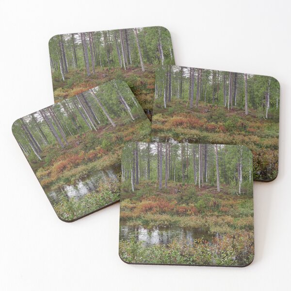 Item preview, .Rain in the forest. Kuusamo 2025 designed and sold by Jouko Lehto Photography.