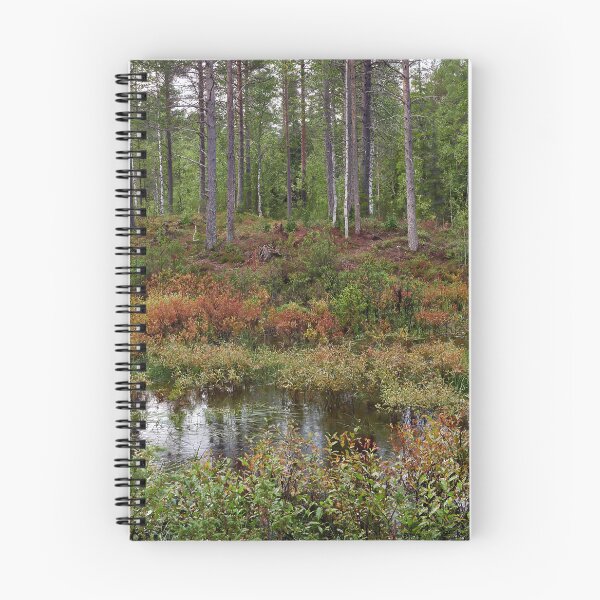 Item preview, .Rain in the forest. Kuusamo 2025 designed and sold by Jouko Lehto Photography.