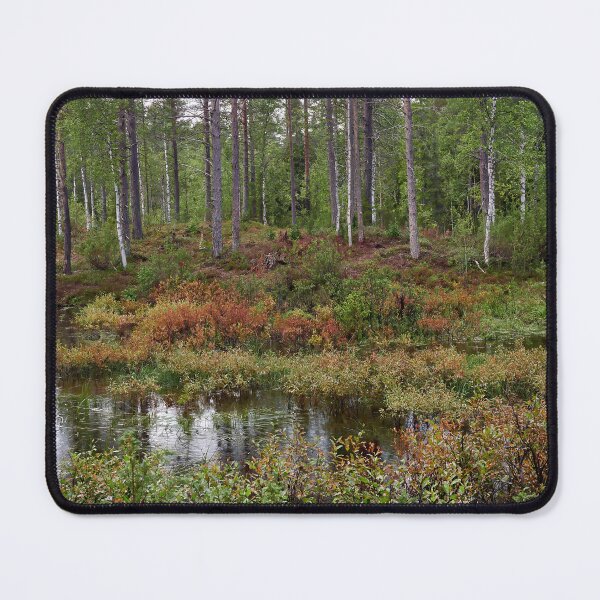 Item preview, .Rain in the forest. Kuusamo 2025 designed and sold by Jouko Lehto Photography.
