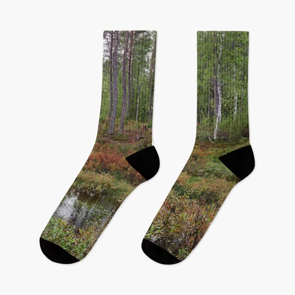 Item preview, .Rain in the forest. Kuusamo 2025 designed and sold by Jouko Lehto Photography.