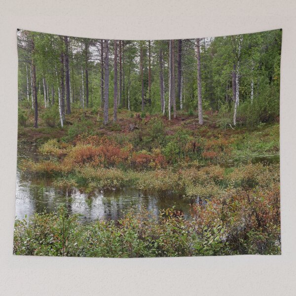 Item preview, .Rain in the forest. Kuusamo 2025 designed and sold by Jouko Lehto Photography.