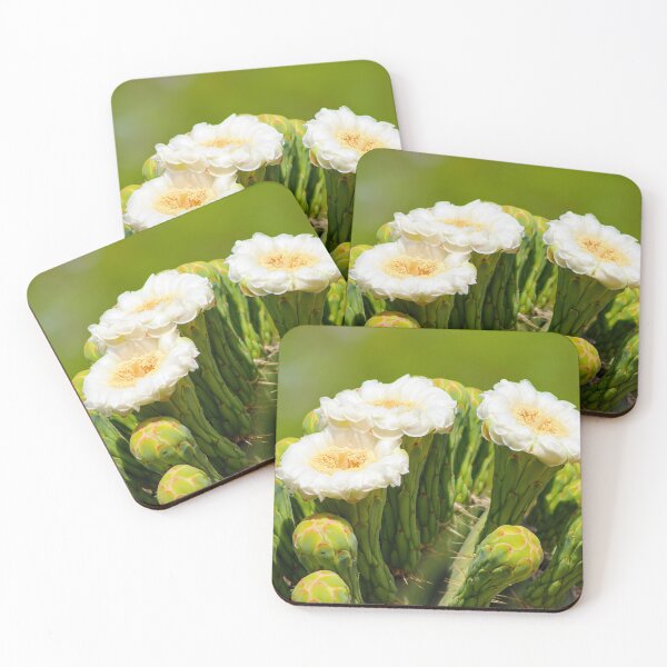 Item preview, Splendid Saguaro Flowers designed and sold by simonjayphotos.