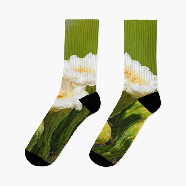 Item preview, Splendid Saguaro Flowers designed and sold by simonjayphotos.