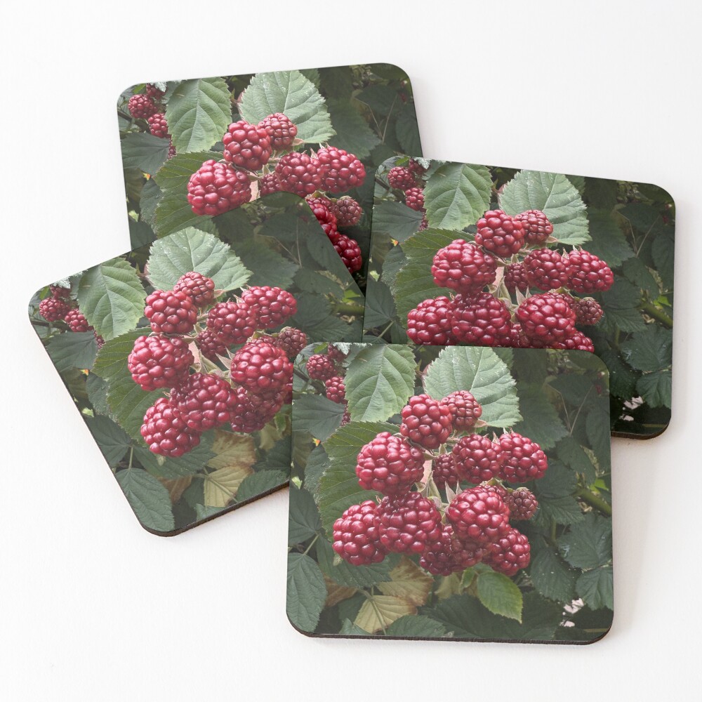 Item preview, Coasters (Set of 4) designed and sold by VerwaterDesigns.