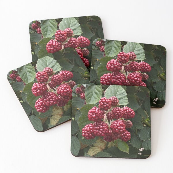 Item preview, Wild Raspberry designed and sold by VerwaterDesigns.