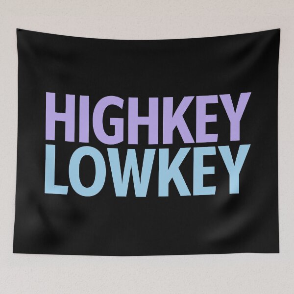 Item preview, Highkey Lowkey in Pastel Blue and Purple designed and sold by Memes N Lore .