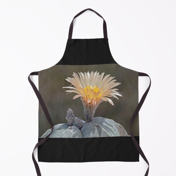 Item preview, Bishop's Cap Cactus Flower designed and sold by NossubGallery.