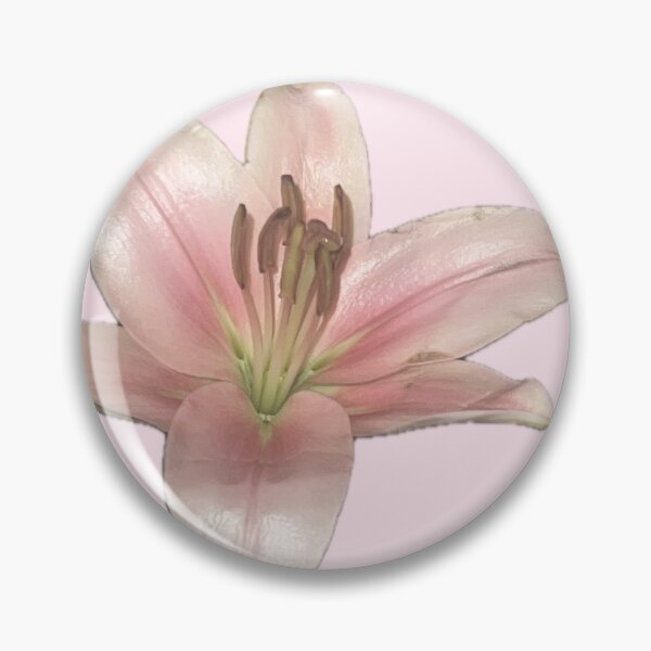 Item preview, lil pink lily designed and sold by abby cartwright.
