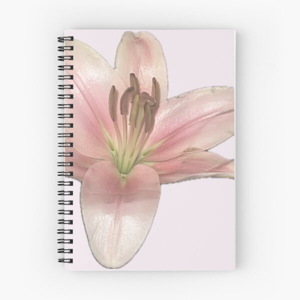 Item preview, lil pink lily designed and sold by abby cartwright.