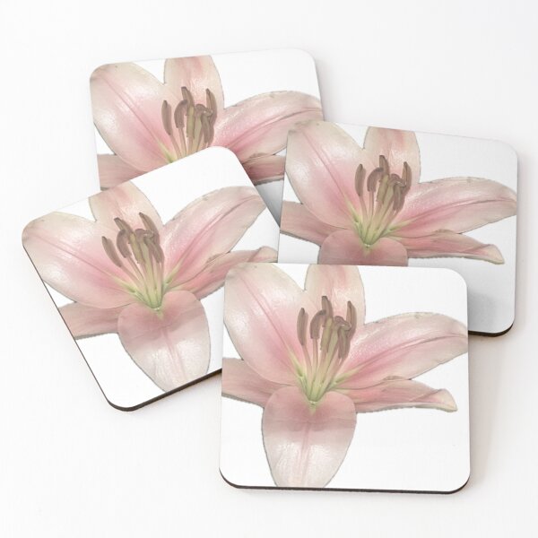 Item preview, lil pink lily designed and sold by abby cartwright.