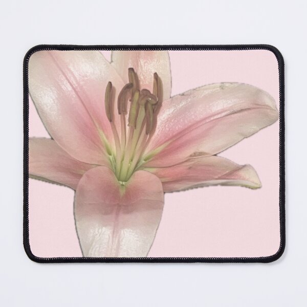 Item preview, lil pink lily designed and sold by abby cartwright.