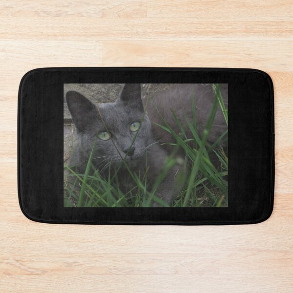 Item preview, Chartreux cat designed and sold by LR-Designer.