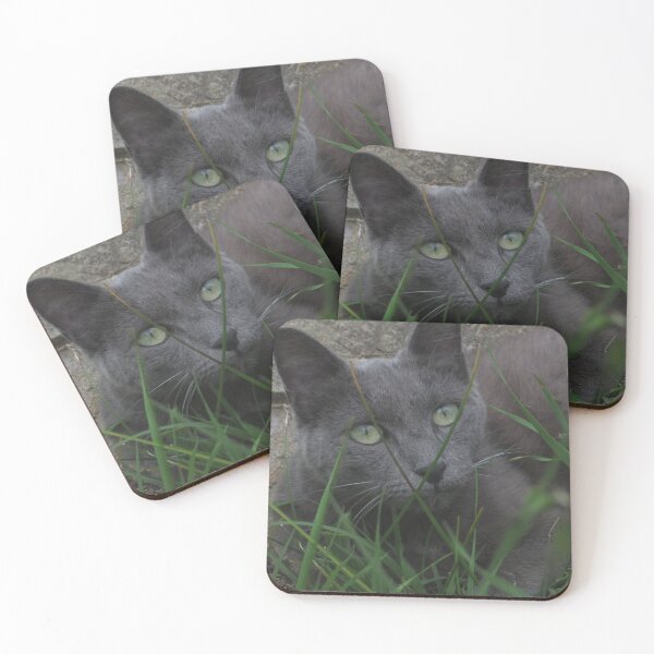 Item preview, Chartreux cat designed and sold by LR-Designer.