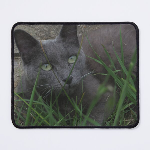 Item preview, Chartreux cat designed and sold by LR-Designer.