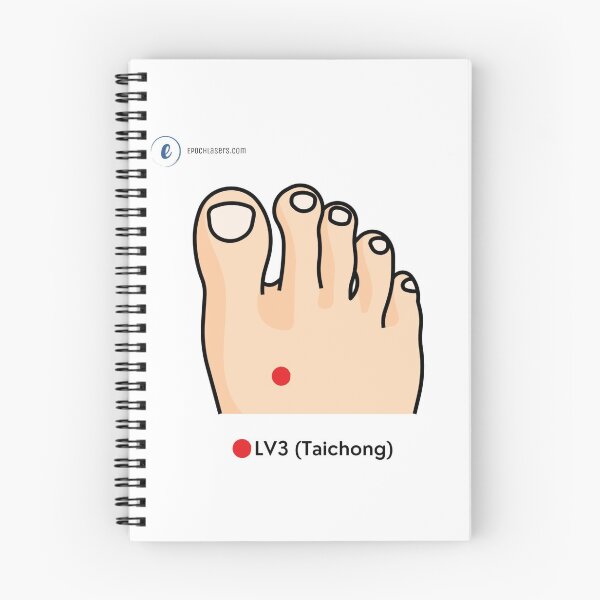 Item preview, LV3 – Taichong ("Great Rushing") Acupressure Point Chart designed and sold by Epoch-Lasers.