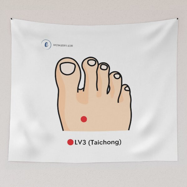 Item preview, LV3 – Taichong ("Great Rushing") Acupressure Point Chart designed and sold by Epoch-Lasers.