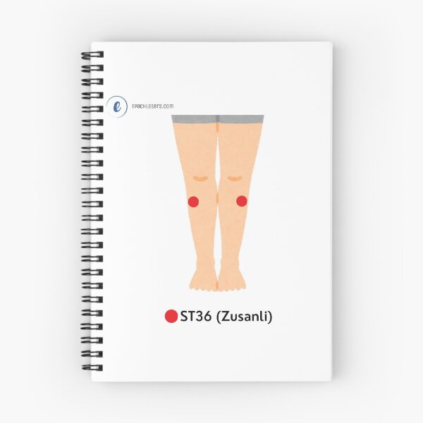 Item preview, ST36 – Zusanli ("Leg Three Miles") Acupressure Point Chart designed and sold by Epoch-Lasers.