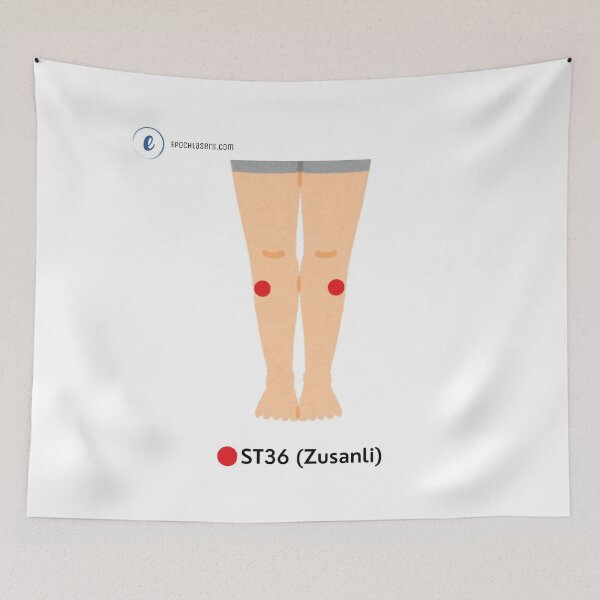 Item preview, ST36 – Zusanli ("Leg Three Miles") Acupressure Point Chart designed and sold by Epoch-Lasers.