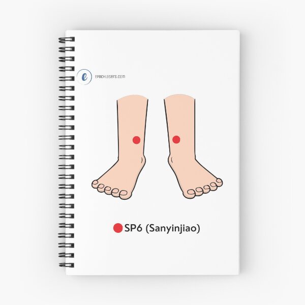 Item preview, SP6 – Sanyinjiao ("Three Yin Intersection") Acupressure Point Chart designed and sold by Epoch-Lasers.