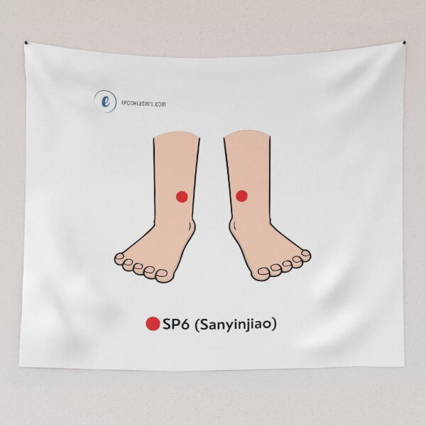 Item preview, SP6 – Sanyinjiao ("Three Yin Intersection") Acupressure Point Chart designed and sold by Epoch-Lasers.