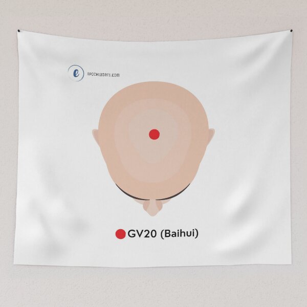 Item preview, GV20 – Baihui ("Hundred Meetings") Epoch Lasers Acupoint Chart designed and sold by Epoch-Lasers.