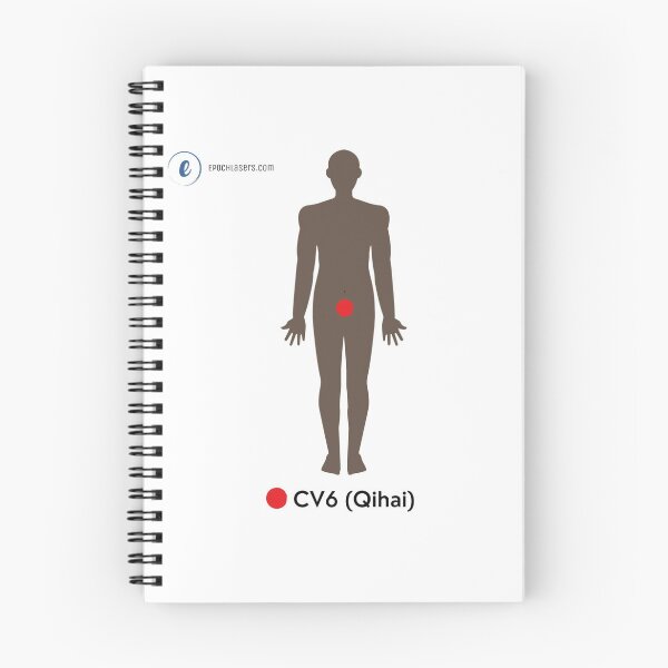 Item preview, CV6 – Qihai ("Sea of Qi") Acupuncture Chart designed and sold by Epoch-Lasers.
