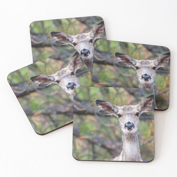 Item preview, Deer with notched ear staring right at you designed and sold by lisavonbiela.