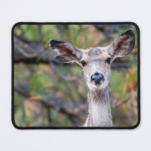 Item preview, Deer with notched ear staring right at you designed and sold by lisavonbiela.