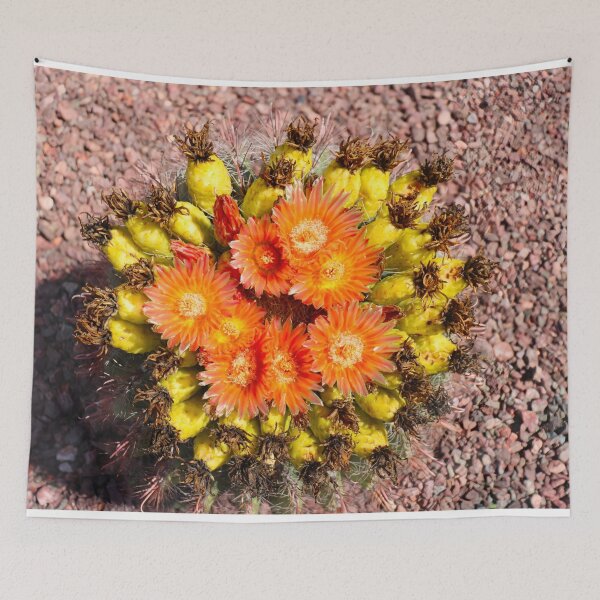 Item preview, Epic Barrel Cactus Flowers designed and sold by simonjayphotos.