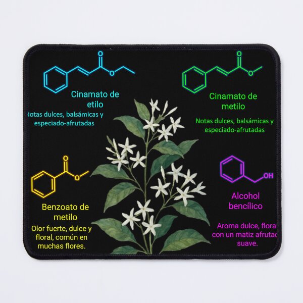 Item preview, El Jazmín nocturno (cestrum nocturnum) designed and sold by soyquimico.