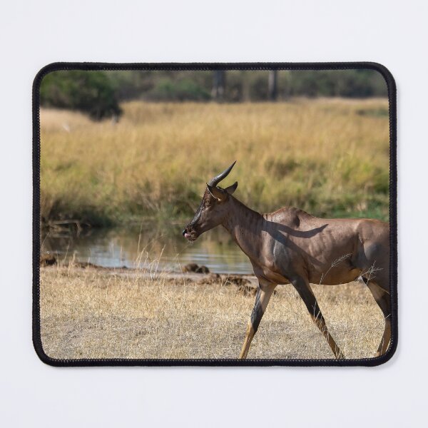Item preview, Graceful Tsessebe Antelope Walking by the Water’s Edge designed and sold by DavideAntoniani.