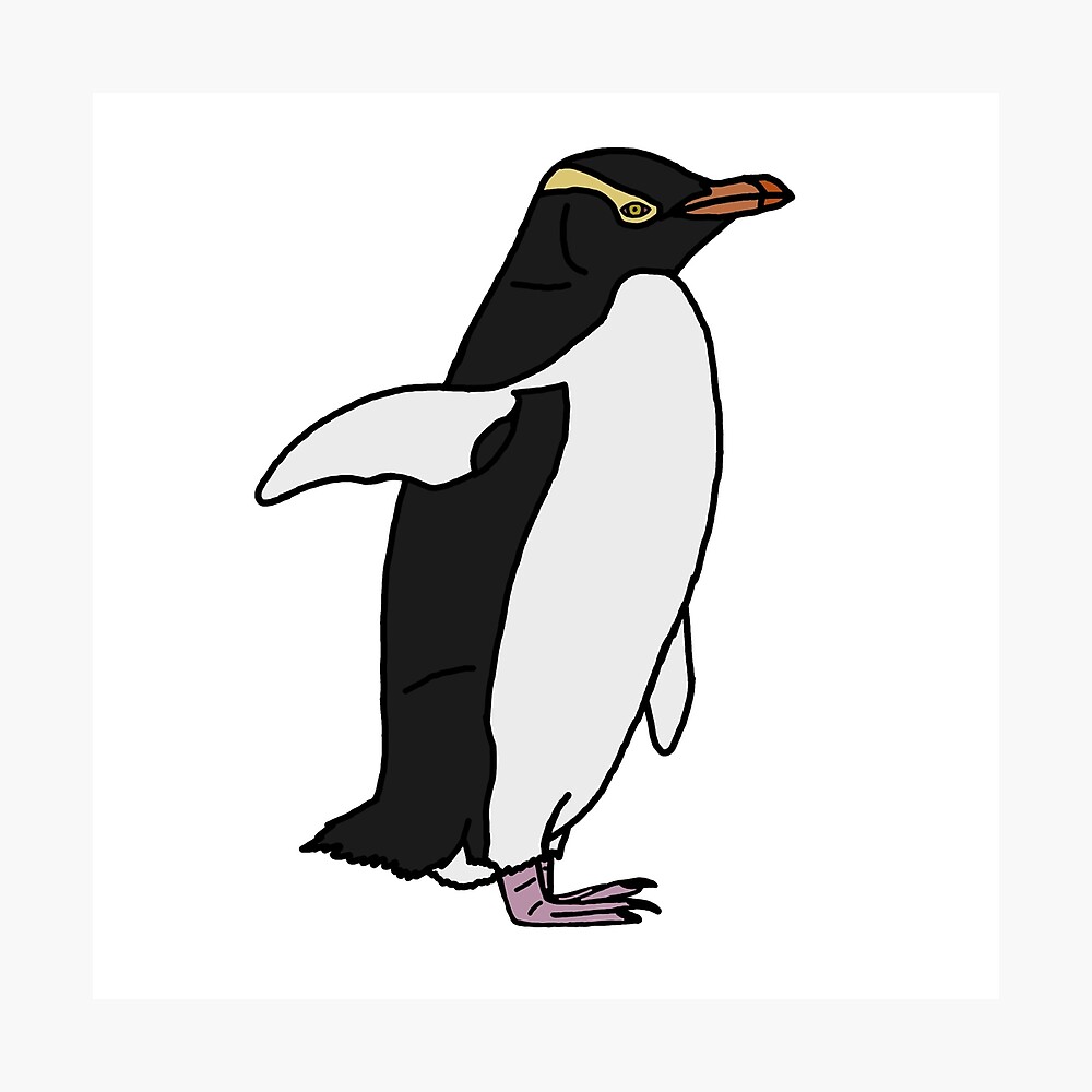 Art & Collectibles Yellow Eyed Penguin Print Digital Prints