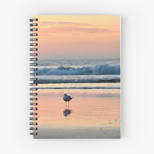 Item preview, Bird on the beach designed and sold by Haylea Does Art.