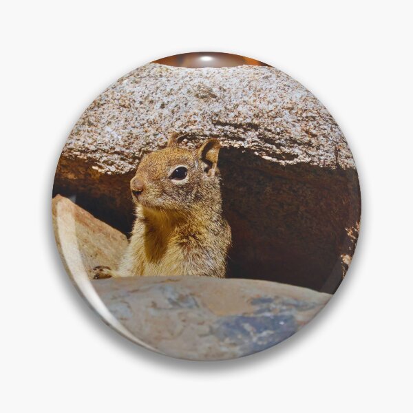 Item preview, Squirrel Hiding in the Rocks designed and sold by Phakade's Photos.
